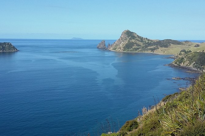 Coromandel Peninsula Discovery - Private Tour From Auckland - What to bring and what to expect