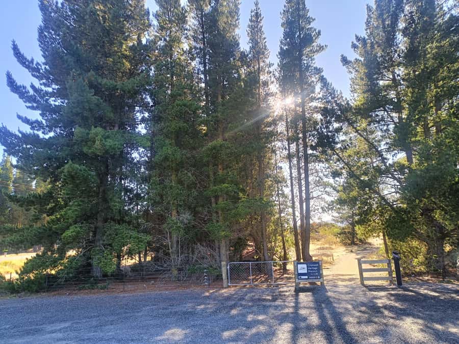 Cromwell: Lake Dunstan Trail Bike Rental and Luxury Shuttle - What to bring and what not to forget