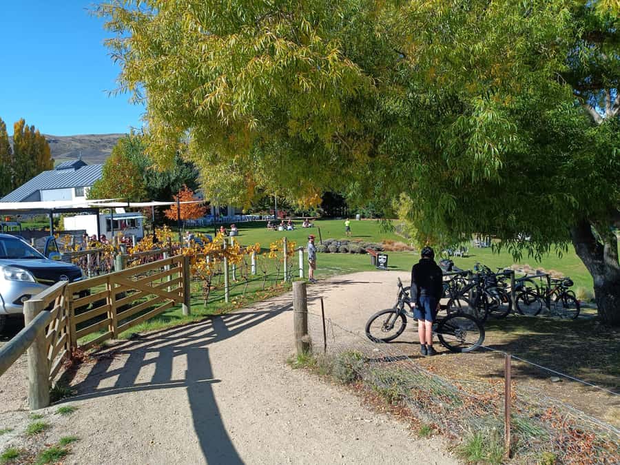 Cromwell: Lake Dunstan Trail Bike Rental and Luxury Shuttle - The clip-ons and the Hugo suspension bridge