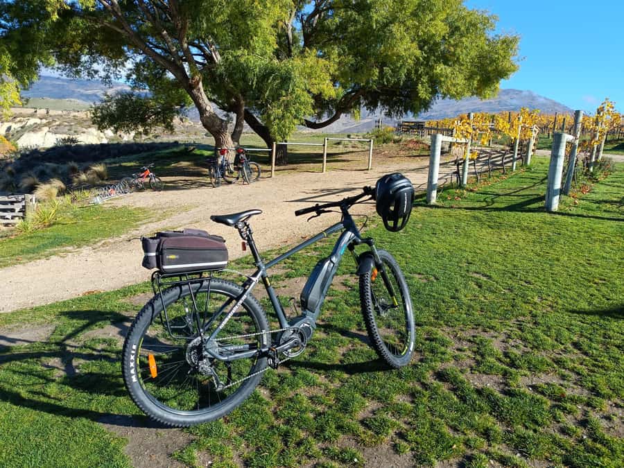 Cromwell: Lake Dunstan Trail Bike Rental and Luxury Shuttle - The two climbs and why pacing matters