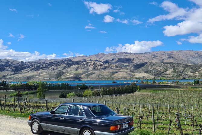 Cromwell Wine Tasting Tour using Classic Car - A classic Mercedes changes the pace of the day