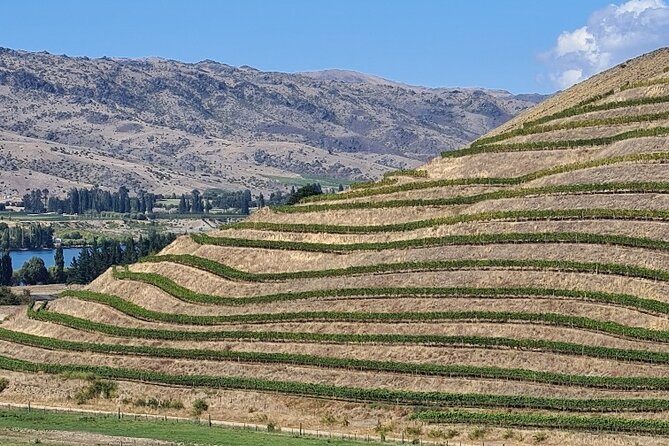 Cromwell Wine Tasting Tour using Classic Car - Who should book this Cromwell wine day