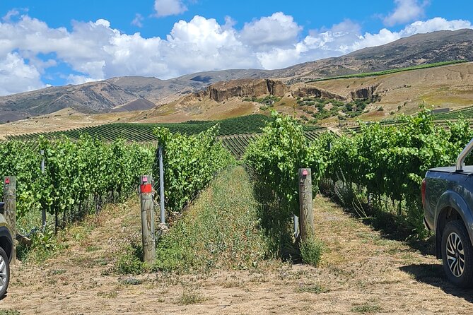 Cromwell Wine Tasting Tour using Classic Car - The drive through Central Otago is part of the experience