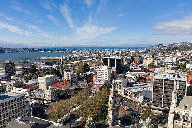 Cruise Dunedin City and Castle Tour - Baldwin Street: a quick encounter with a famous slope