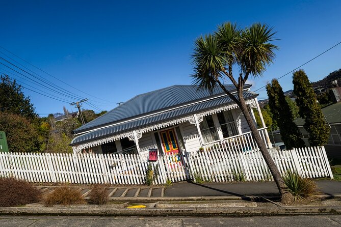 Cruise Dunedin City and Castle Tour - How the guides shape the day