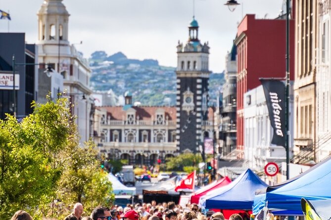 Cruise Dunedin City and Castle Tour - From Port Chalmers to Dunedin’s city center