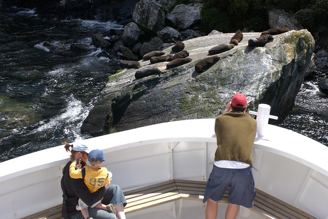 Cruise Milford NZ Small Boutique Cruise Experience - Wildlife sightings are possible, not promised