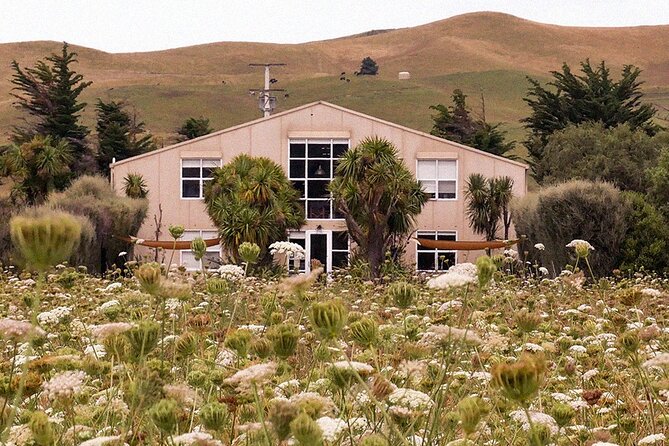 CRUISE SHIP DAY LYTTELTON Hop On Hop Off Wine Tours to Waipara - The central Waipara wine circuit