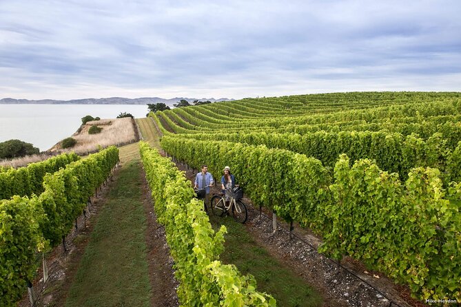 CRUISE SHIP DAY Marlborough Hop On Hop Off Wine Tours - Smaller cellar doors and food stops