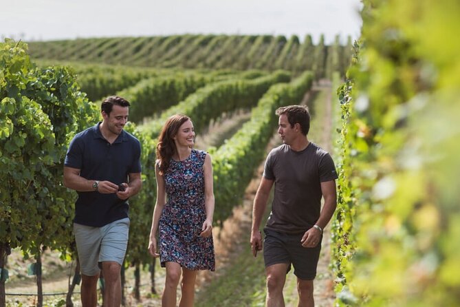 CRUISE SHIP DAY Marlborough Hop On Hop Off Wine Tours - How many stops can you really make?