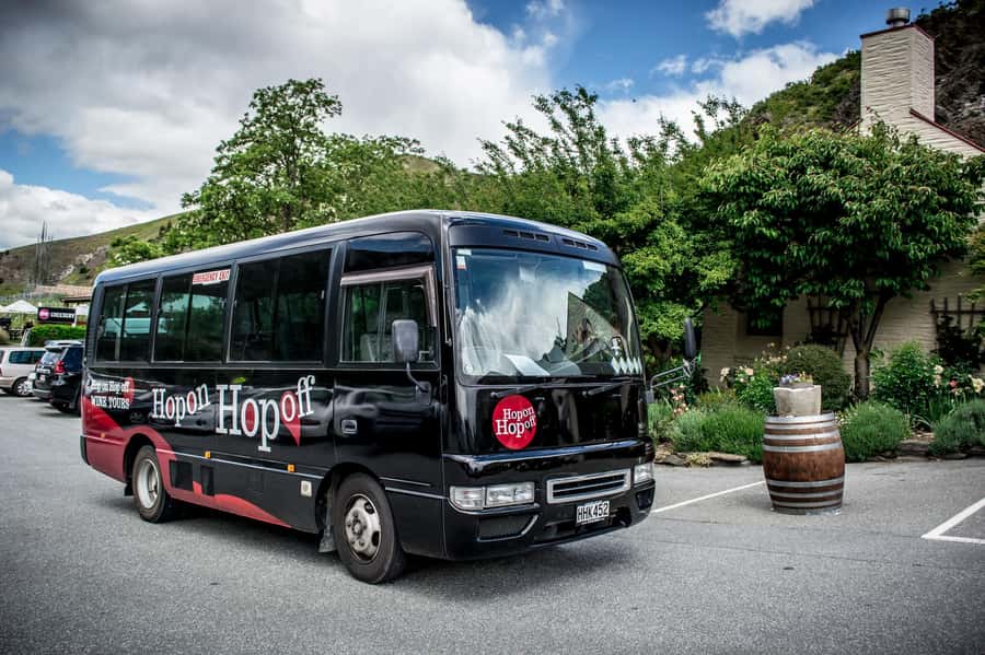 CRUISE SHIP DAYS - HOP ON HOP OFF - Wine, Beer, Food Tour - A flexible Marlborough day from Picton