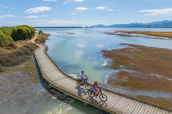 Cruise, Walk, and Sail in Abel Tasman National Park - Weather, fitness, and what to pack