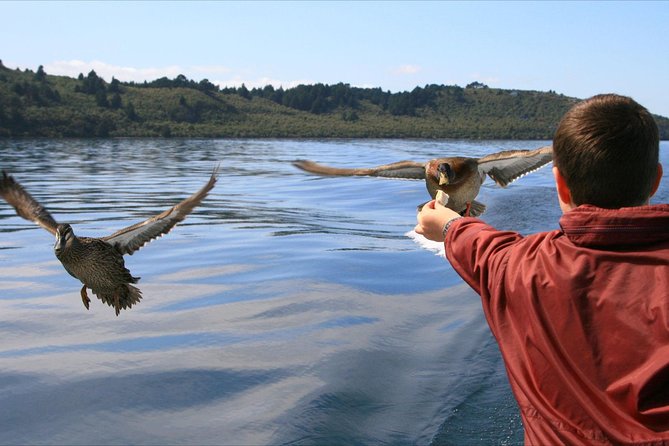 Daily Scenic Maori Rock Carving Cruise Taupo - A comfortable cruise with room to look around