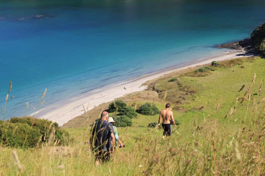 Day Sailing Charter on Catamaran with Lunch : Bay Of Islands - The return journey into Paihia