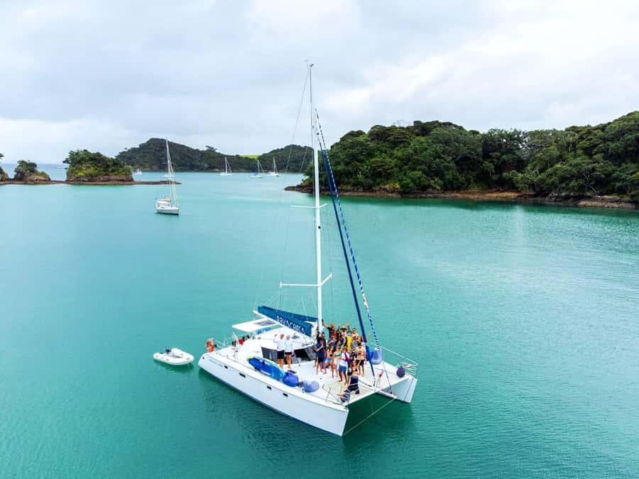 Day Sailing Charter on Catamaran with Lunch : Bay Of Islands - How Brad and Monique shape the day