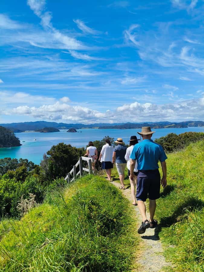 Day Sailing Charter on Catamaran with Lunch : Bay Of Islands - A spacious catamaran built for looking around