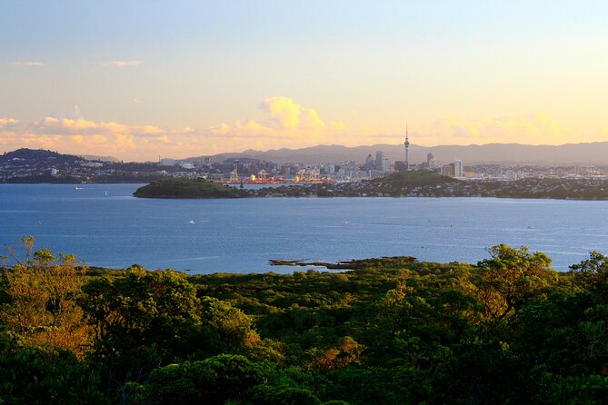 Day sea kayak tour Rangitoto Island - Why Rangitoto is worth reaching by kayak