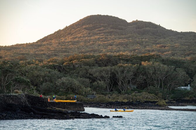 Day sea kayak tour Rangitoto Island - The Kiwi BBQ is more than a meal break