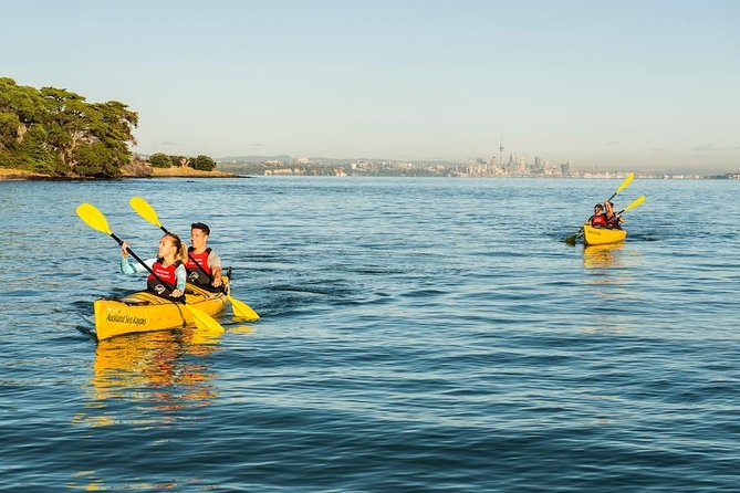Day sea kayak tour Rangitoto Island - The paddle back can feel very different