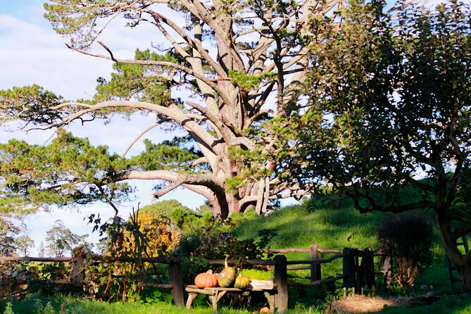Day Tour Hobbiton + Rotorua from Auckland in Luxury Minibus - Te Puia brings Māori culture and geothermal power together