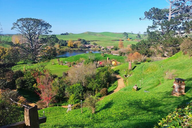 Day Tour Hobbiton + Rotorua from Auckland in Luxury Minibus - Guides, handoffs, and the human side of the day