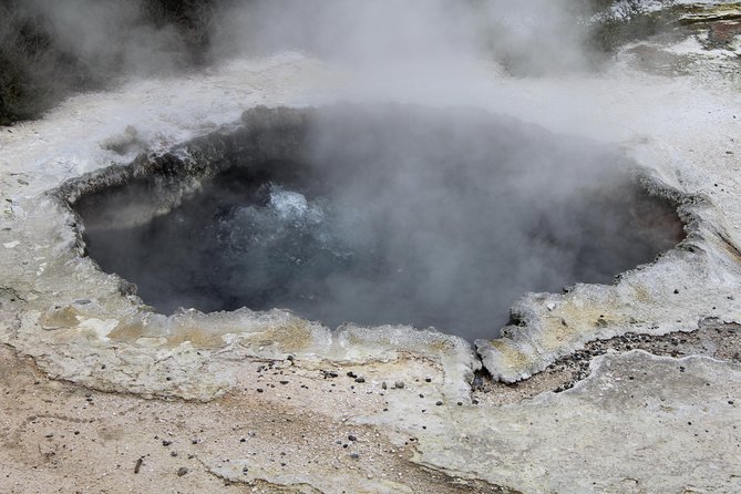 Day Tour Hobbiton + Rotorua from Auckland in Luxury Minibus - Who should book this Auckland day trip?