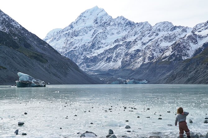Day Trip: Lake Tekapo to Mt Cook National Park - Key points before you book