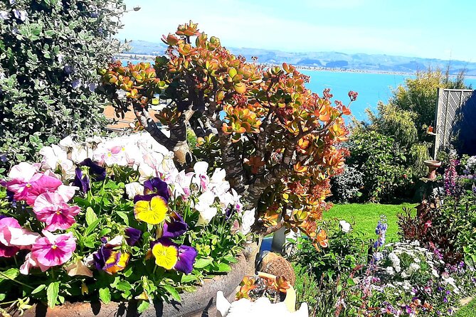 Deco Napier, Te Mata Peak, Garden Walk and Wine Tasting Tour - Askerne Vineyards and a proper tasting break