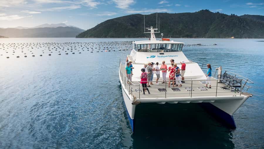 Depart Picton: Marlborough Sounds Afternoon Seafood Cruise - Three hours among the forested hills
