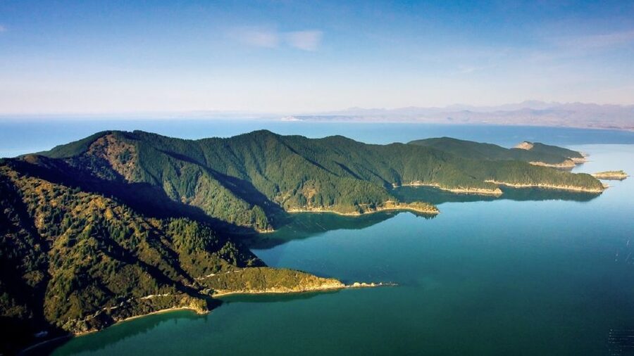 Depart Picton: Marlborough Sounds Afternoon Seafood Cruise - A licensed bar with Marlborough wine