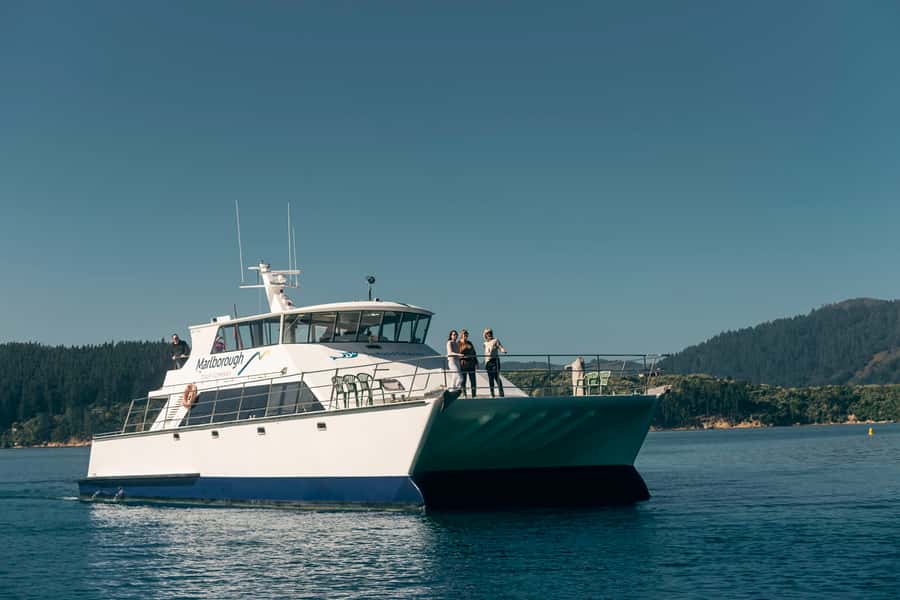 Depart Picton: Marlborough Sounds Afternoon Seafood Cruise - Is NZ$92 good value?
