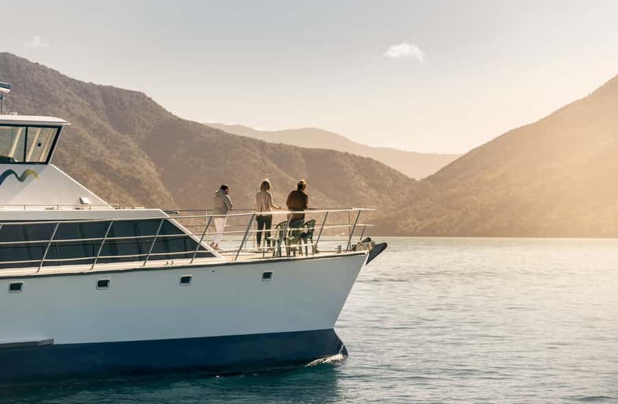 Depart Picton: Marlborough Sounds Afternoon Seafood Cruise - Timing matters more than you might expect