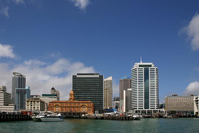 Departure Transfer: Auckland Central City Centre to Auckland Airport - Luggage rules and special equipment