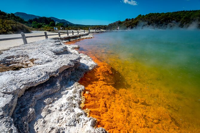 Devil's Bath Experience - Private Tour to Wai-O-Tapu & Lake Taupo - Honey tastings at Huka Honey Hive