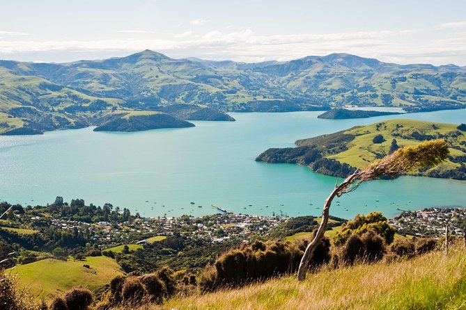 Discover Akaroa: Self Guided Audio Tour - Key points to know before you go