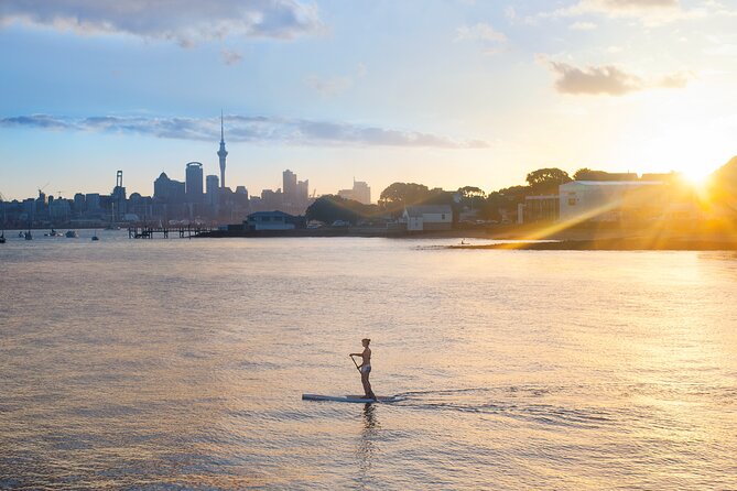 Discover Auckland City Tour: The City of Sails - Mission Bay brings the sea close to the city