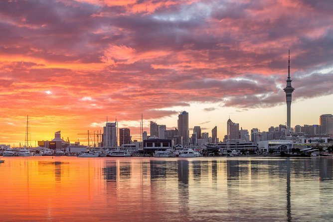 Discover Auckland City Tour: The City of Sails - Mount Eden provides the tour’s strongest city view