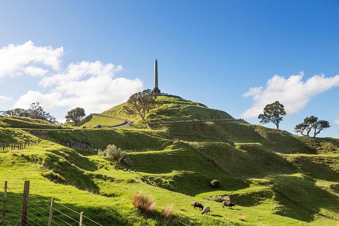 Discover Auckland City Tour: The City of Sails - What the $108.60 price includes