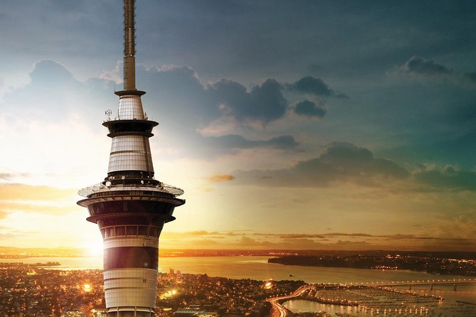 Discover Auckland City Tour: The City of Sails - Who will get the most from the morning
