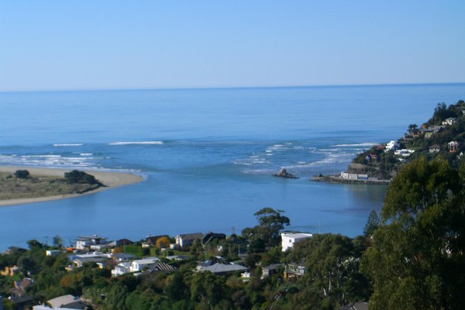 Discover Christchurch Sightseeing Tour - Central Christchurch, where old and new meet
