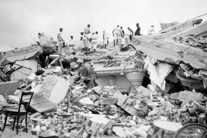 Discover Napier Earthquake: Self-Guided Audio Tour - Who Will Enjoy This Napier Walk