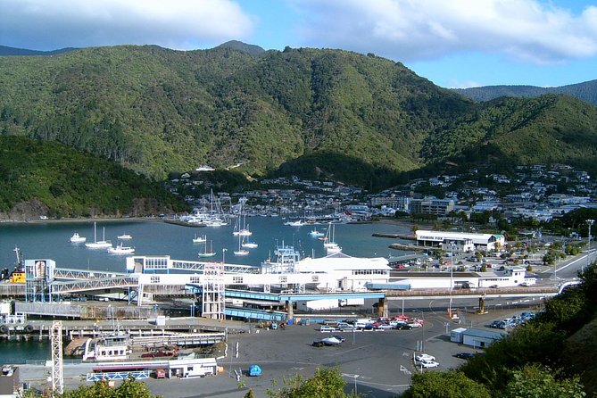 Discover Picton: Self-Guided Audio Tour - Key points to know before you walk