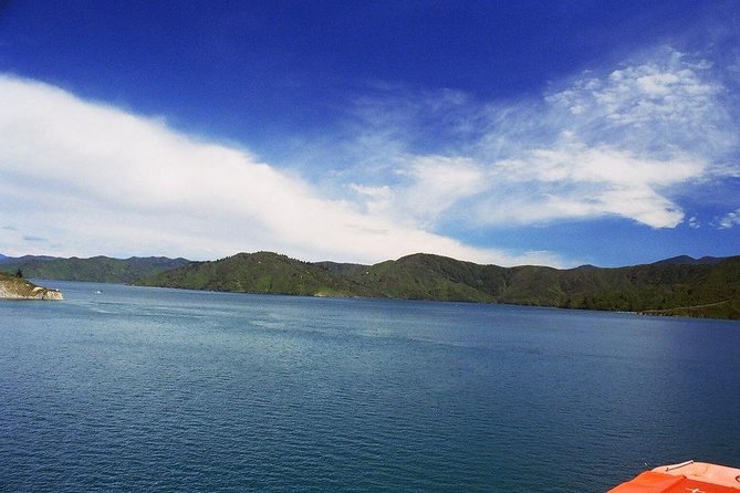 Discover Picton: Self-Guided Audio Tour - Picton’s port story in one easy walk