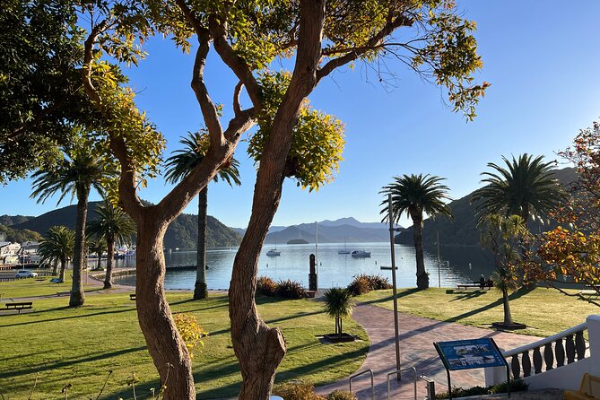 Discover Picton: Self-Guided Audio Tour - Why the self-guided format works