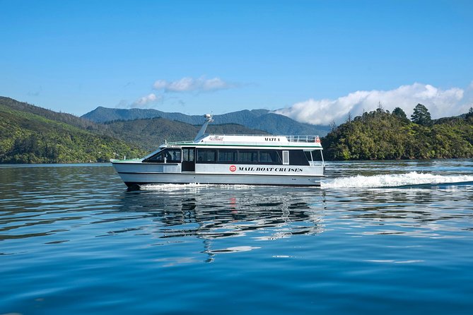 Discover Picton: Self-Guided Audio Tour - Timing, walking effort, and group size