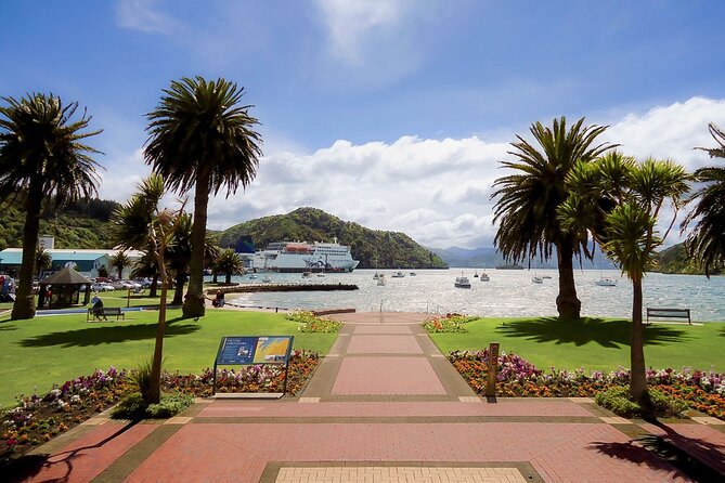 Discover Picton: Self-Guided Audio Tour - Who should book this Picton walk?
