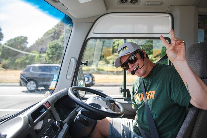 Discover Wellington 3 hour City Tour - Why the pickup matters for cruise passengers