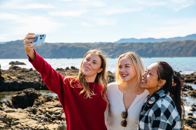 Discover Wellington 3 hour City Tour - Cuba Street, Courtenay Place, and Wellington’s odd side