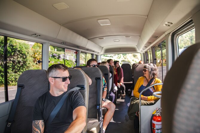 Discover Wellington 3 hour City Tour - The cable car is the tour’s signature ride