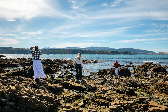 Discover Wellington 3 hour City Tour - Miramar and Wellington’s film-making story